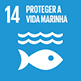 14 proteger vida marinha