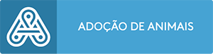 Amadora unida pela Ucrânia