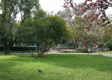 Parque Delfim Guimarães