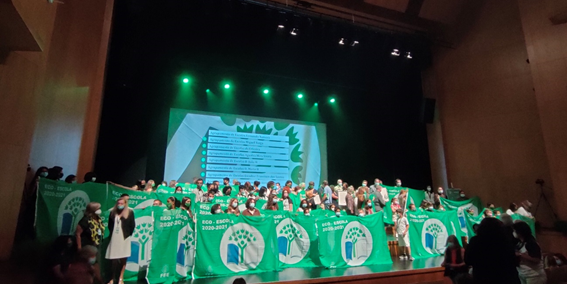 bandeira verde