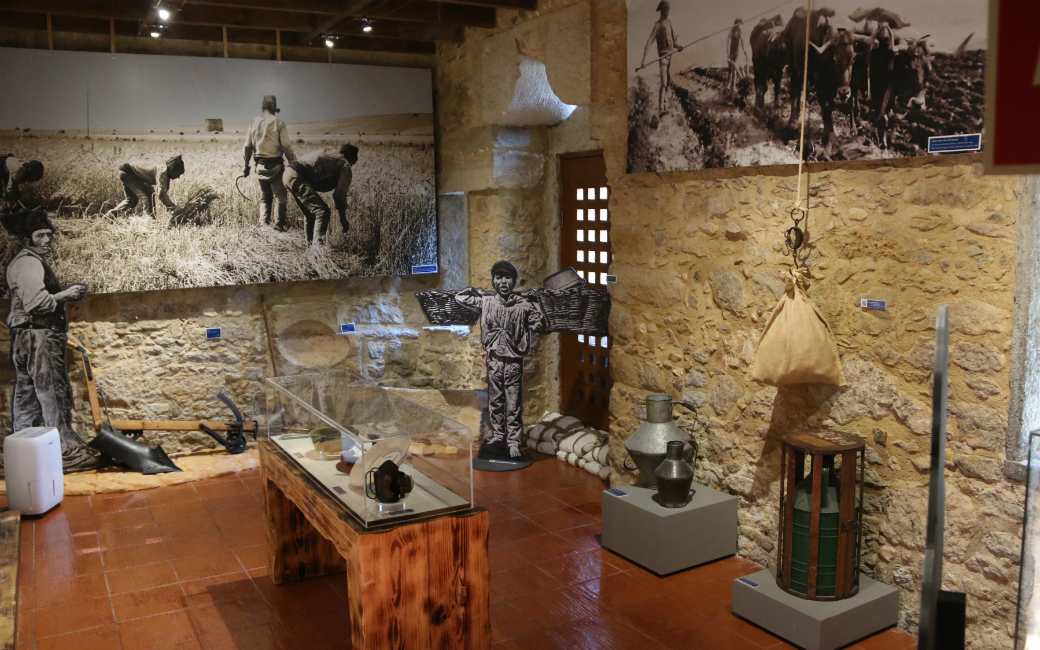 Exposição permanente “Amadora rural”