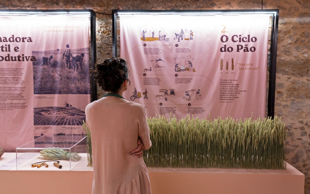 Exposição "Trigo na Eira, pão na masseira. Uma história do pão na Amadora"