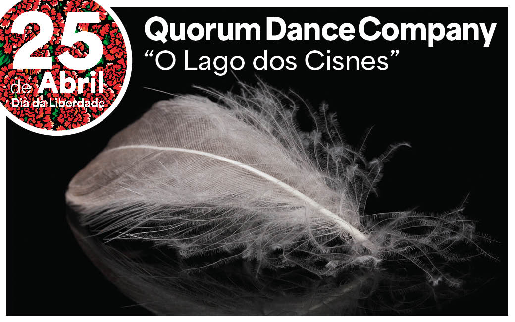 16 a 19 abril | Lago dos Cisnes na Amadora  