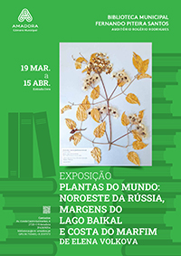 cartaz biblioteca MAR 2026 200