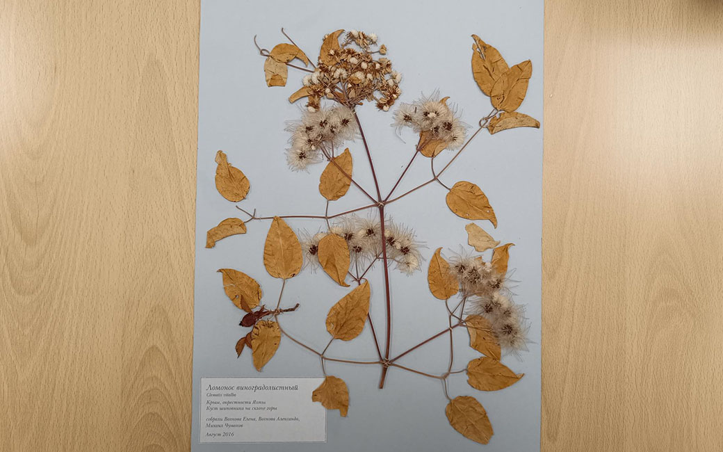 19 março a 15 abril | Exposição “Plantas do Mundo: Noroeste da Rússia, Margens do Lago Baikal e Costa do Marfim”