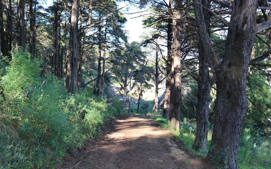 Parque Fonte das Avencas, um pulmão verde da Cidade  