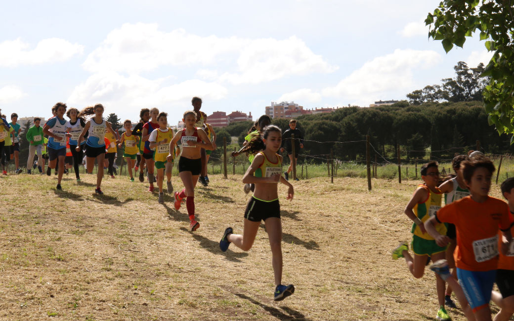 Prova de corta mato deu seguimento ao Torneio Cidade da Amadora em Atletismo