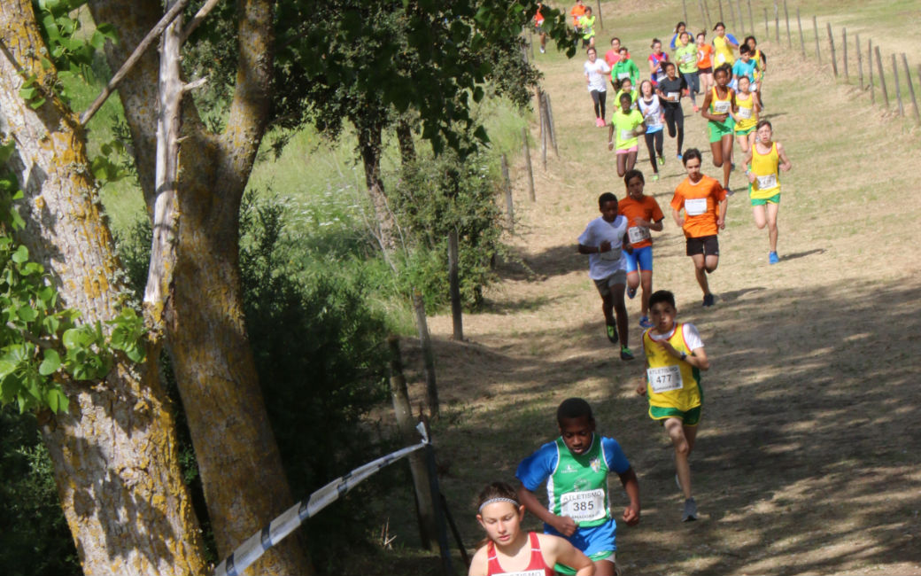 Prova de corta mato deu seguimento ao Torneio Cidade da Amadora em Atletismo