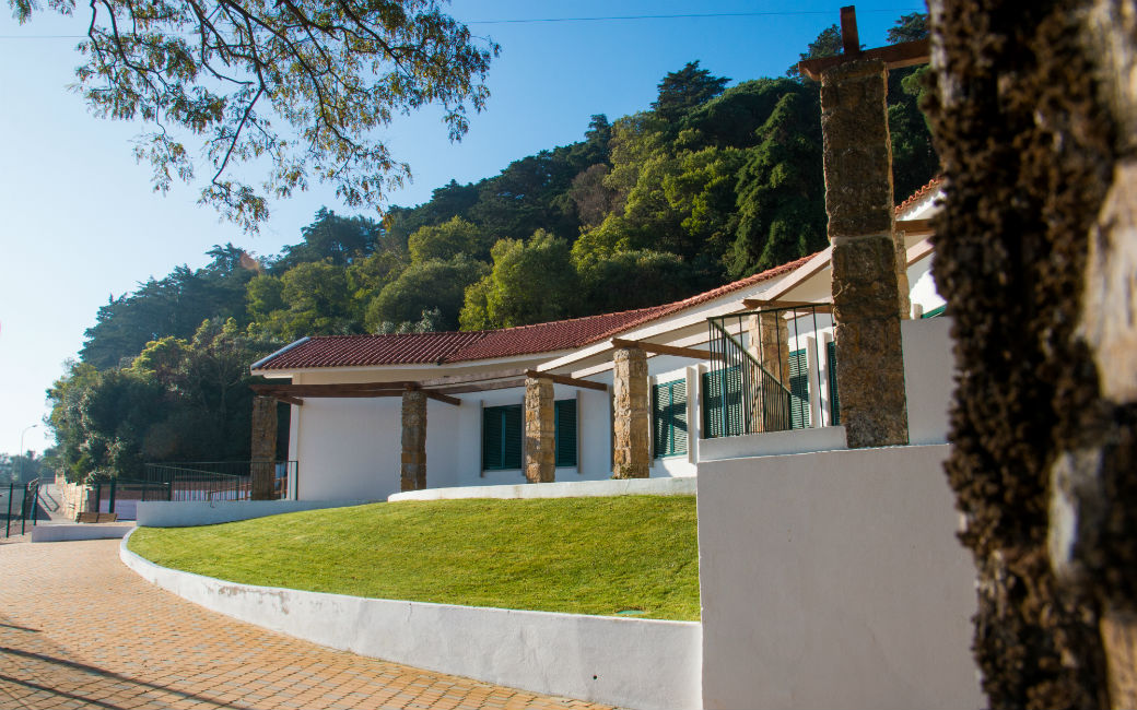 Parque Fonte das Avencas, o pulmão verde da cidade da Amadora