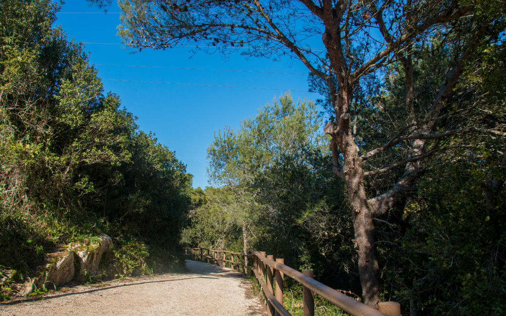 Parque Fonte das Avencas, o pulmão verde da cidade da Amadora