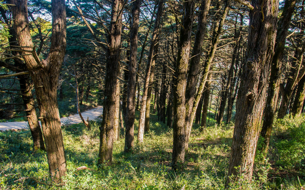 Parque Fonte das Avencas, o pulmão verde da cidade da Amadora