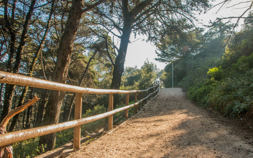 Parque Fonte das Avencas, o pulmão verde da cidade da Amadora