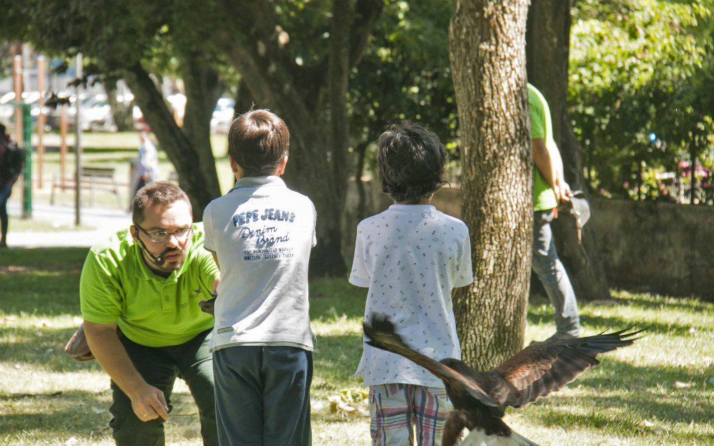 Sessão com Aves de Rapina