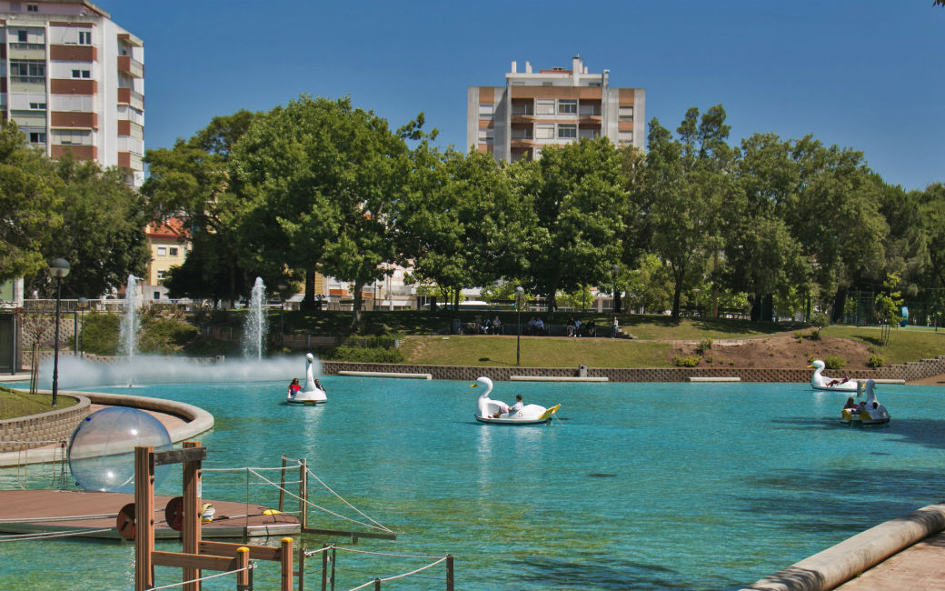 Passeio de gaivota no Parque Central