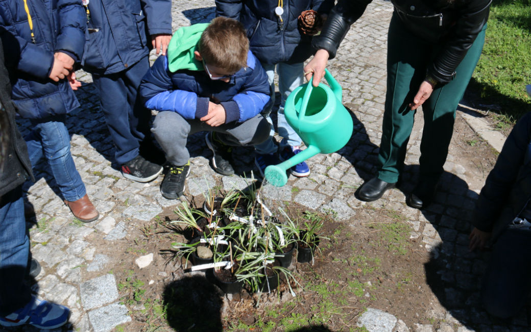 Plantações de árvores/arbustos nas instalações do Regimento de Lanceiros n.º 2 