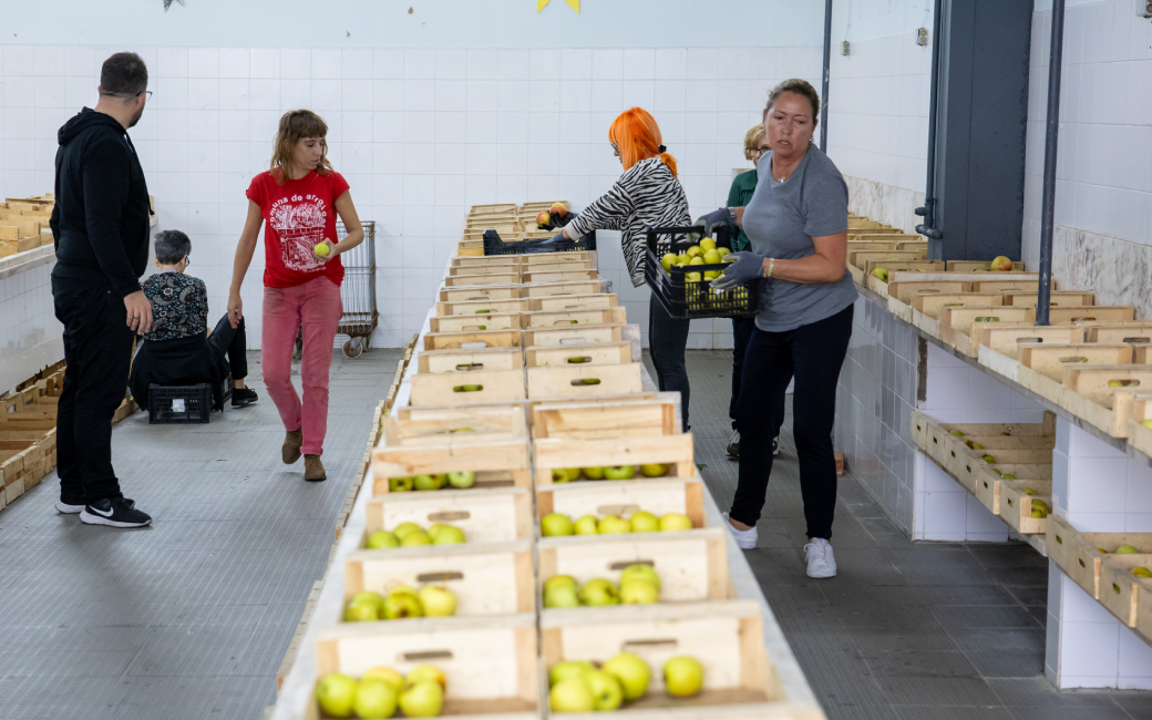 Ação de Voluntariado - "Fruta Feia"