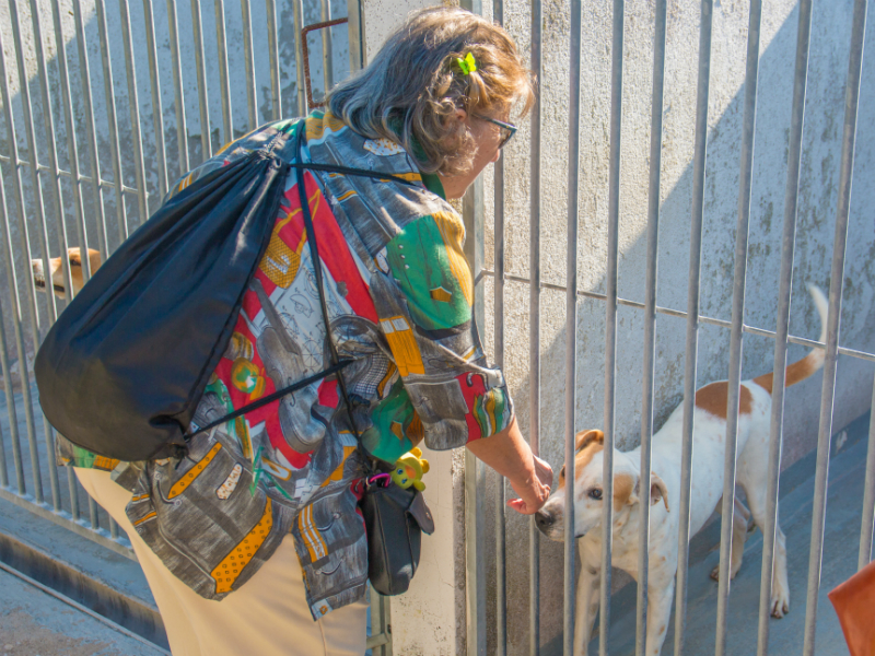 Objetivo desta iniciativa: Sensibilizar para o bem-estar animal e adoções responsáveis