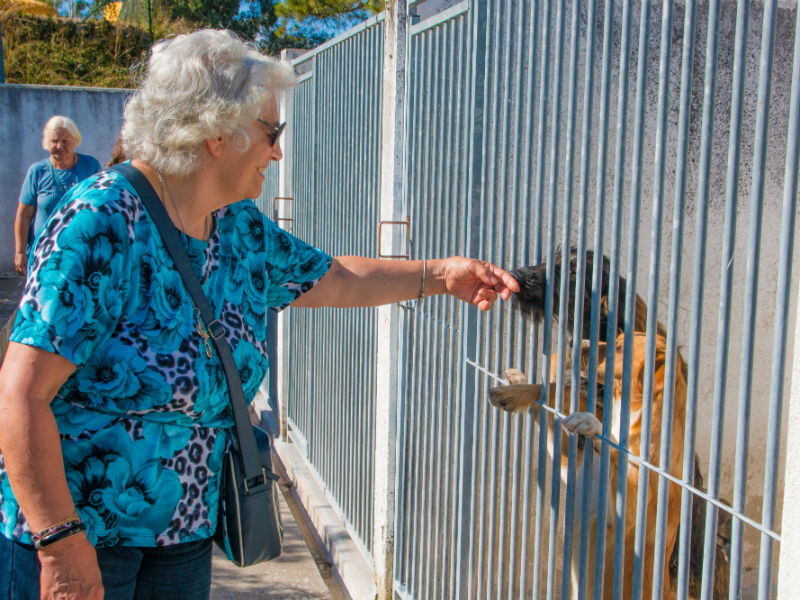 Objetivo desta iniciativa: Sensibilizar para o bem-estar animal e adoções responsáveis