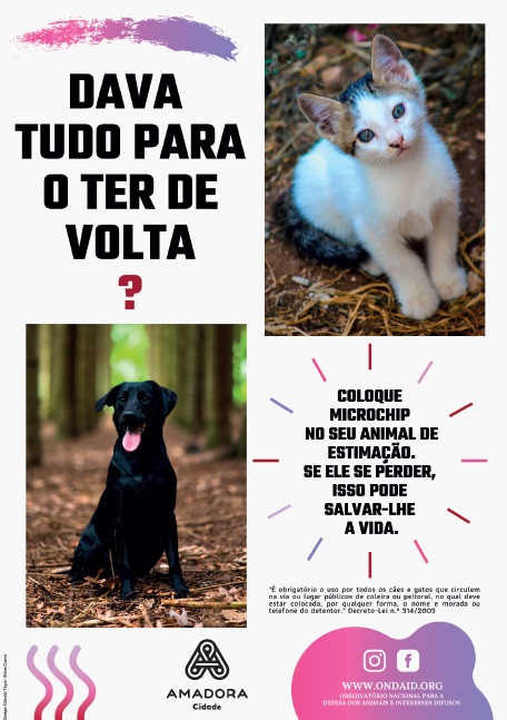 img campanha animais