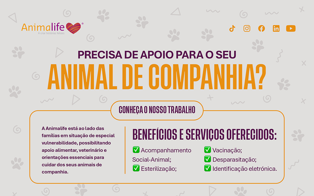 Autarquia apoia famílias a cuidarem dos animais de companhia