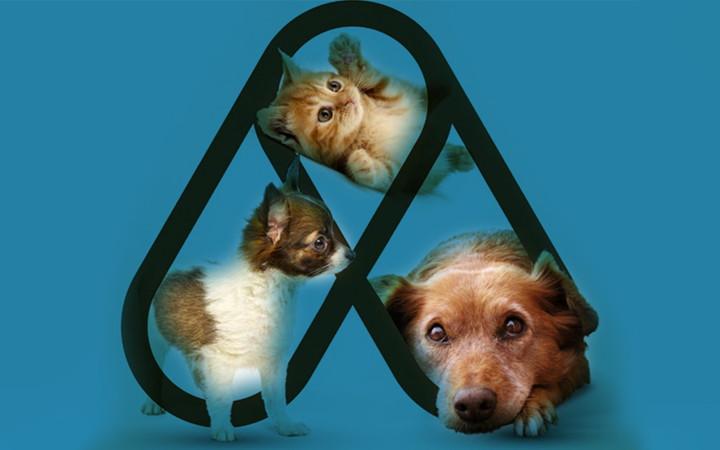 Comemorações do Dia do Animal 2026