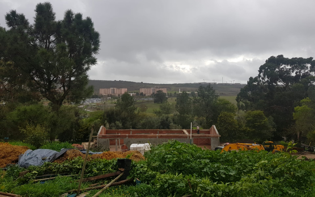 O CROAMA – Centro de Recolha Oficial de Animais do Município da Amadora, foi edificado ao longo do ano 2006 e obteve a licença (PT 05 003 CGM) da Direção Geral de Veterinária no dia 21 de fevereiro de 2008, tendo sido o primeiro Centro de Recolha Oficial licenciado na Área Metropolitana de Lisboa.