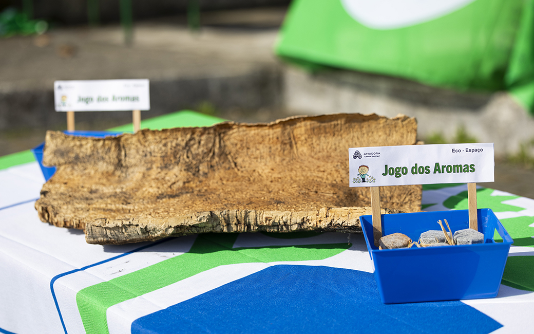 Os alunos de algumas turmas, do 1º ciclo ao ensino secundário, fizeram uma visita e exploração ao espaço florestal no Parque da Fonte das Avencas, que contou com o acompanhamento de técnicos do Eco-Espaço e do vereador do pelouro do Ambiente, Luís Lopes.