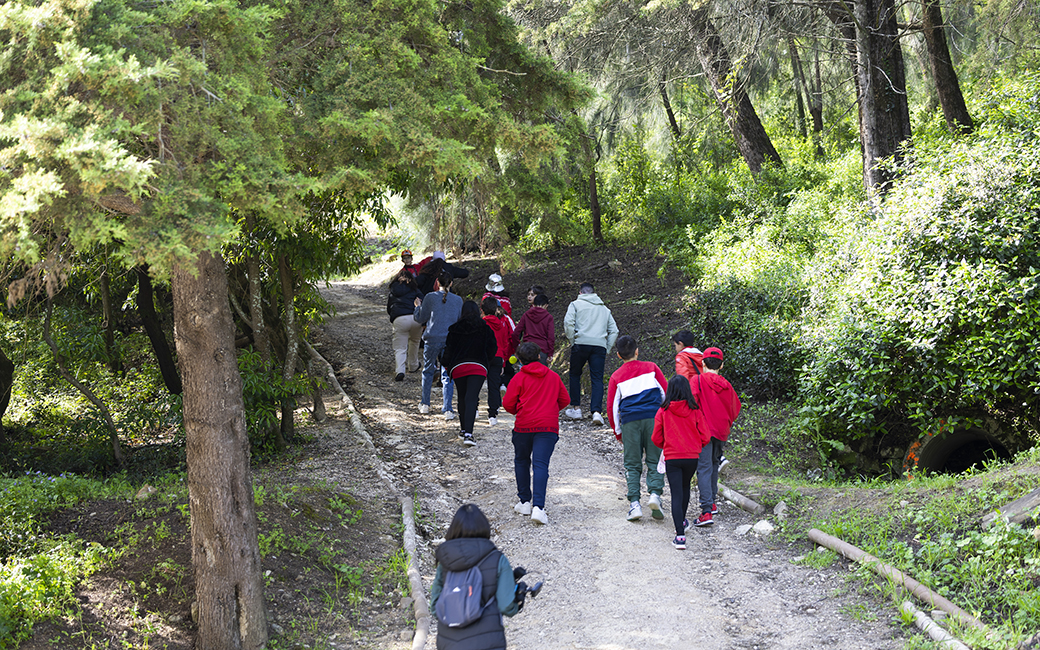 Os alunos de algumas turmas, do 1º ciclo ao ensino secundário, fizeram uma visita e exploração ao espaço florestal no Parque da Fonte das Avencas, que contou com o acompanhamento de técnicos do Eco-Espaço e do vereador do pelouro do Ambiente, Luís Lopes.