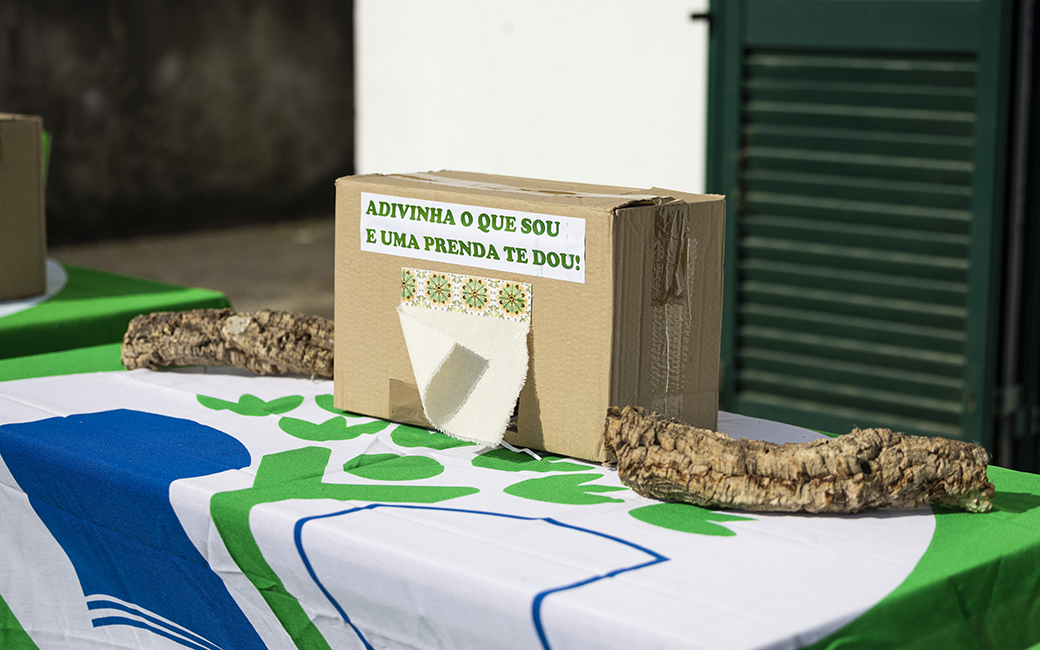 Os alunos de algumas turmas, do 1º ciclo ao ensino secundário, fizeram uma visita e exploração ao espaço florestal no Parque da Fonte das Avencas, que contou com o acompanhamento de técnicos do Eco-Espaço e do vereador do pelouro do Ambiente, Luís Lopes.