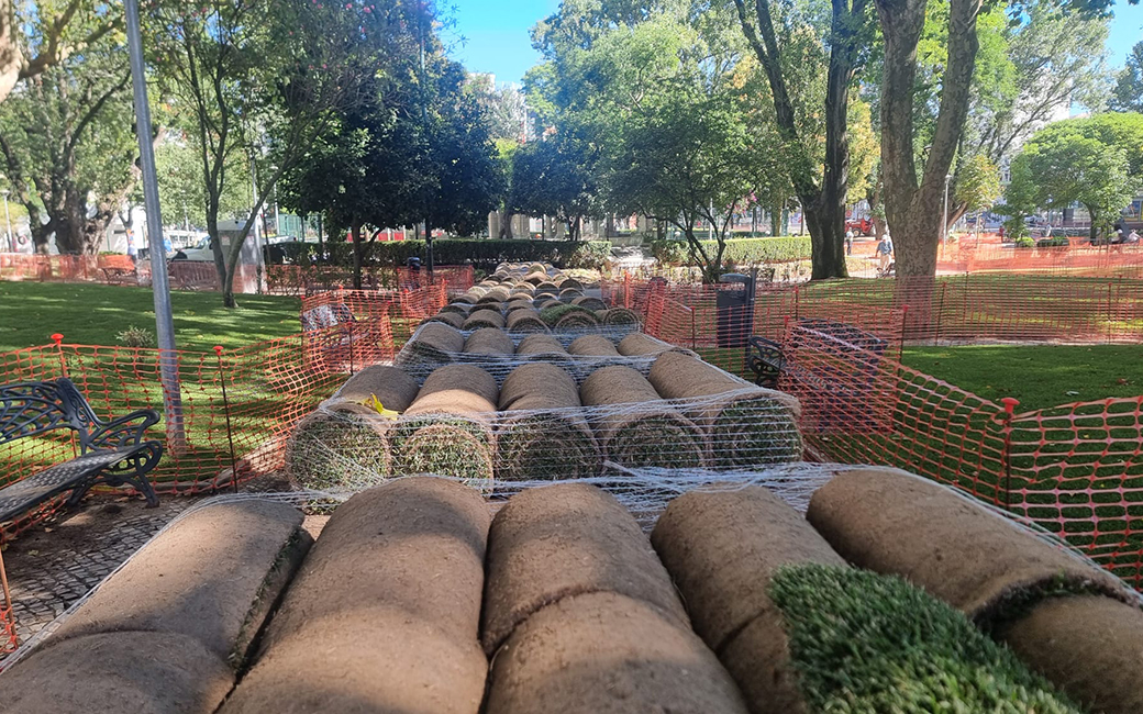 Requalificação do Parque Delfim Guimarães