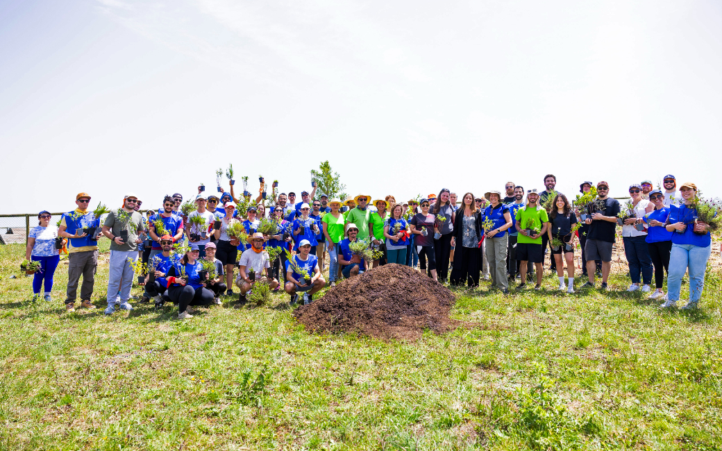 Parque das Artes e do Desporto recebeu plantação de minifloresta urbana a 22 de maio