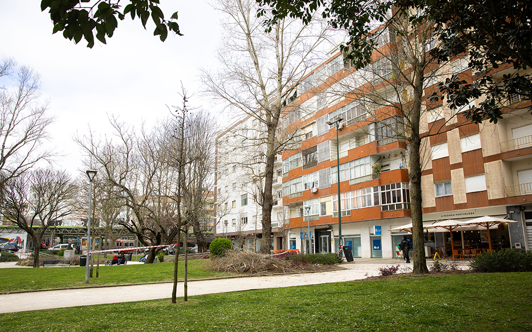 Parque Delfim Guimarães | Intervenção de poda de manutenção do arvoredo