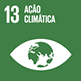 13 acao climatica